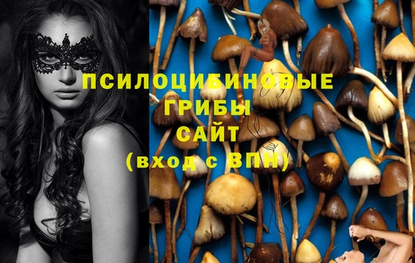 ПСИЛОЦИБИНОВЫЕ ГРИБЫ Алексин