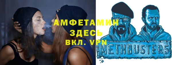 гидра Алексеевка