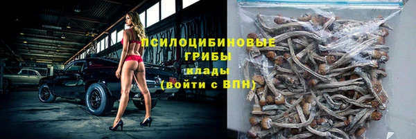 бошки Михайловск