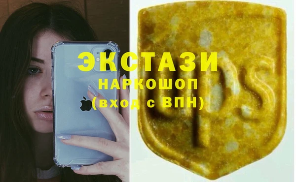 гидра Алексеевка