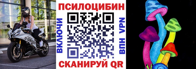 Галлюциногенные грибы Psilocybine cubensis  Неман 